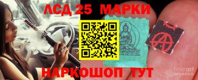 дживик Тара