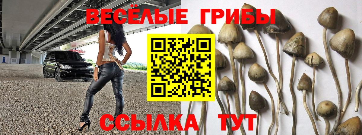 Новотроицк  Псилоцибиновые грибы мицелий  Вход с VPN 