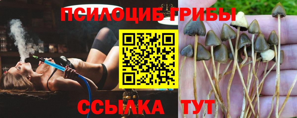 Псилоцибиновые грибы MAGIC MUSHROOMS Новотроицк
